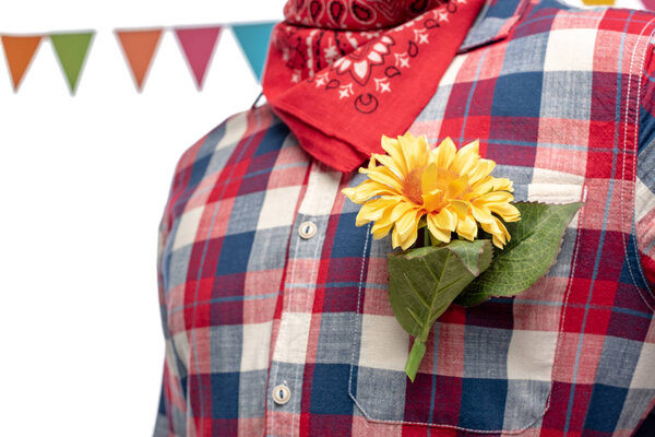 Cropped view of man in bandana with sunflower in pocket Isolated On White