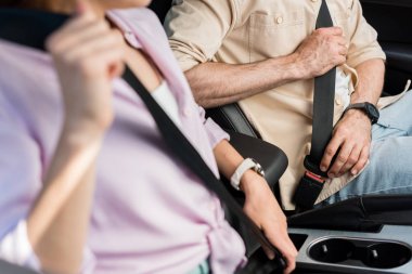 cropped view of woman and man fastening seat belts while sitting in car  clipart