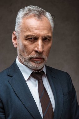 başarılı sakallı işadamı gri kamera bakıyor 