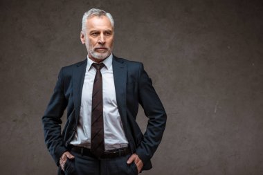 gri ceplerinde elleri ile ayakta başarılı sakallı işadamı 