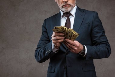 gri elinde dolar banknotlar tutan takım elbiseli işadamının kırpılmış görünümü 