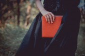 oříznutý pohled dospělé ženy na čarodějnické kostýmy stojící s červenou knihou