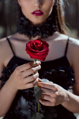 cropped view of young woman in witch costume holding red rose in hands clipart