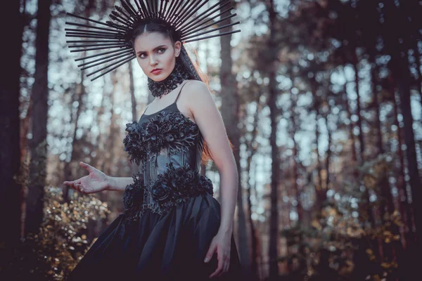 Cadı Kostümü Içinde Zarif Kadın Düşük Açı Görünümü Orman Arka — Stok fotoğraf