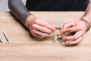 cropped view of young man rolling joint with weed while sitting behind table  clipart
