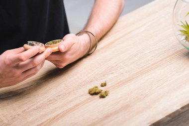 cropped view of man putting medical marijuana in herb grinder  clipart