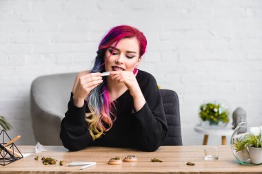  attractive girl licking joint with medical marijuana while sitting behind table in living room clipart