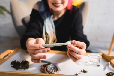 Cropped view of girl presenting joint with medical cannabis clipart