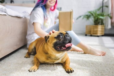 Frenchie seçici odak yere döşeme ve renkli saçlı kız 