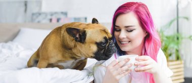kahve ve sevimli bulldog kahve koklama ile renkli saç tutan fincan ile mutlu kız panoramik çekim