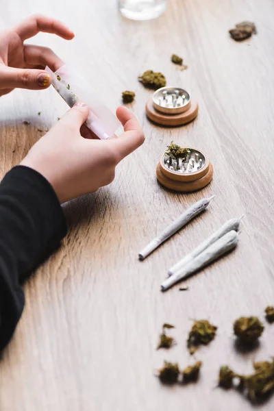 Cropped View Woman Making Joint Weed Sitting Table Herb Grinder — Stock Photo, Image