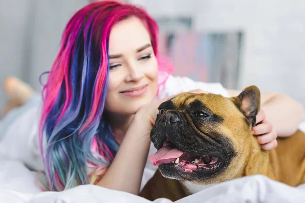 Selective Focus French Bulldog Girl Colorful Hair Laying Bed — Stock Photo, Image