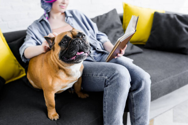selective focus of cute bulldog sitting on sofa with girl reading book