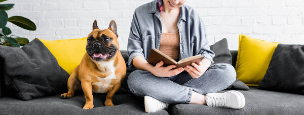 panoramic shot of cute bulldog sitting on sofa with girl, who reading book