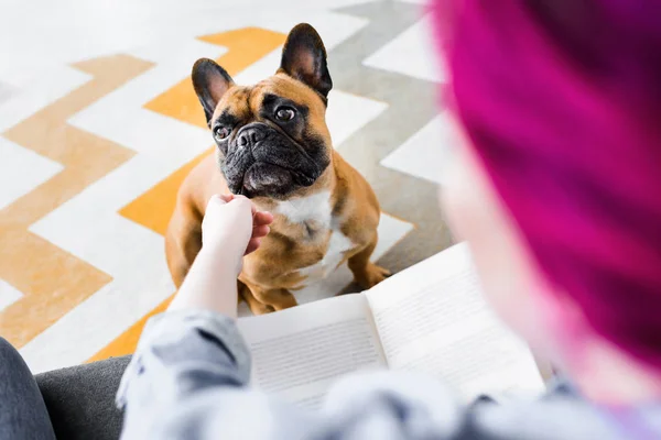 Selective Focus Girl Colorful Hair Petting French Bulldog Holding Book — Stock Photo, Image