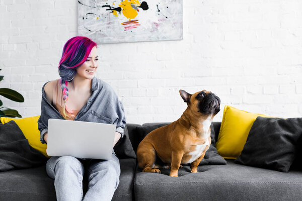 attractive girl with colorful hair sitting on sofa, using laptop and looking at french bulldog