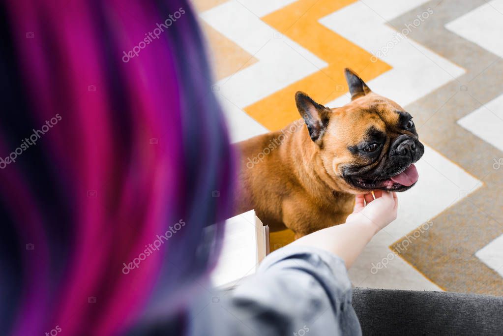 selective focus of girl with colorful hair petting french bulldog