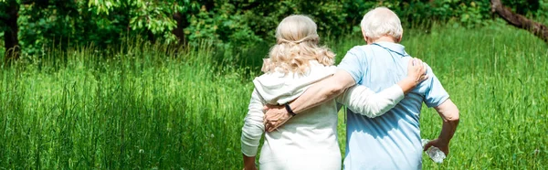 Panoramic Shot Pensioners Sportswear Walking Park — Stock Photo, Image