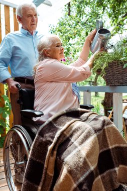 low angle view of senior disabled woman sitting in wheelchair and watering plant near husband  clipart