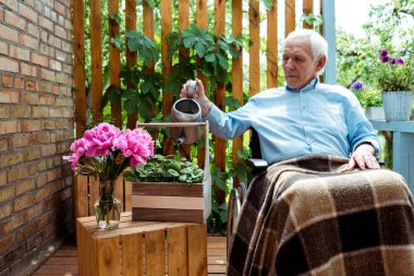 senior disabled man with grey hair sitting in wheelchair and watering plant  clipart