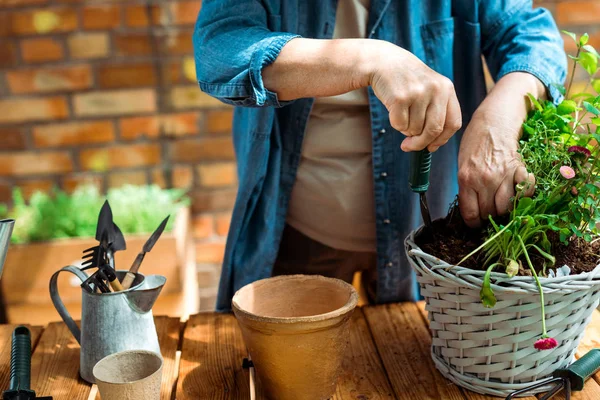 Beskuren Över Pensionerad Kvinna Som Håller Spade Nära Blomkruka — Stockfoto