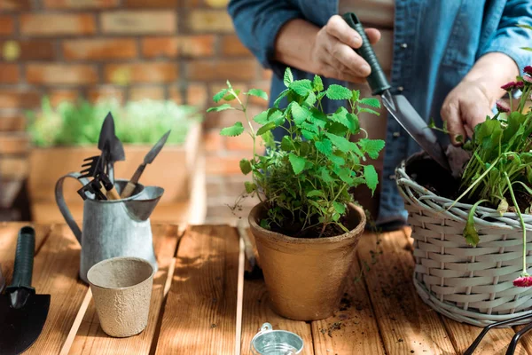 Cropped View Retired Woman Holding Shovel Flowerpot Plants — Stock Photo, Image