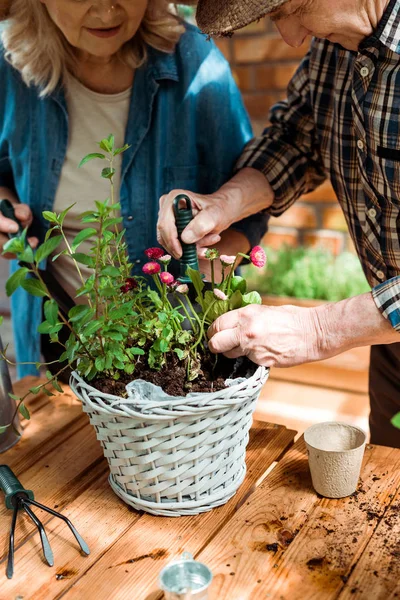 植物と妻の近くにシャベルを持つ高齢者のトリミングされたビュー — ストック写真