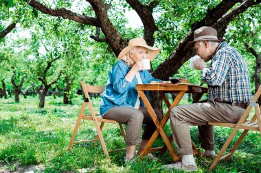 kıdemli kadın ve adam sandalyelerde oturan ve ağaçların yakınında çay içme 