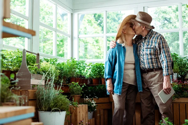 老年夫妇在植物附近接吻的选择性焦点 — 图库照片