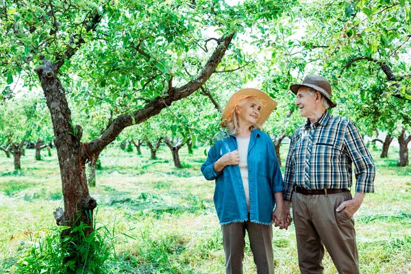 Cheerful Senior Woman Holding Hands Happy Husband Standing Hand Pocket — Stock Photo, Image