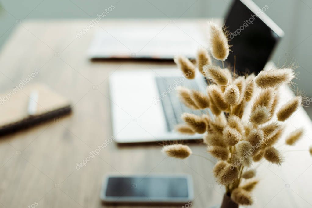 selective focus of fluffy willow branches near digital devices 