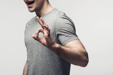 cropped view of young man showing ok gesture isolated on grey, human emotion and expression concept clipart