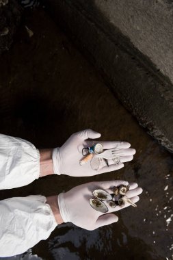 deniz kabukları ve plastik çöp tutan lateks eldiven ekolojist kırpılmış görünümü