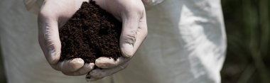 panoramic shot of ecologist in latex gloves holding handful of soil clipart