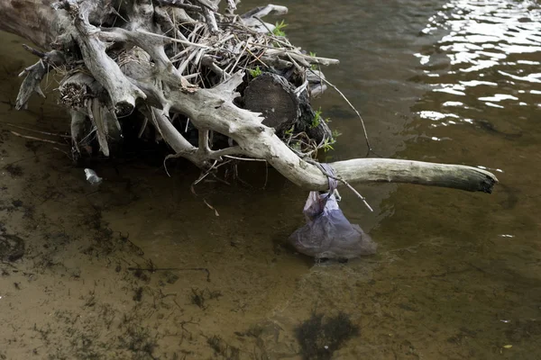 川の汚れた水のビニール袋と木材 — ストック写真