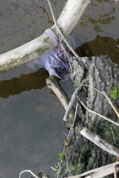 Nehirde Kirli Suda Plastik Torba Kereste Seçici Odak — Stok fotoğraf
