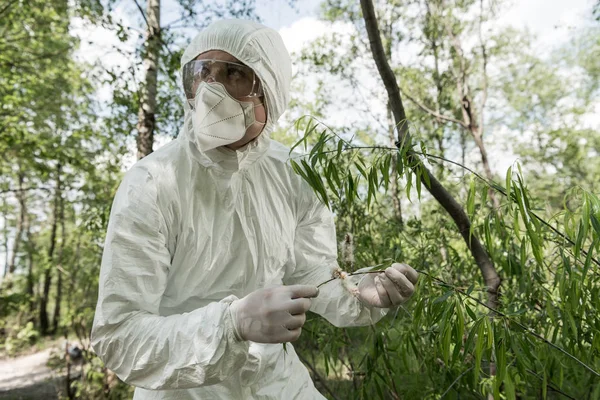 Ecologist Protective Costume Respirator Touching Tree Leaves Forest — Stock Photo, Image