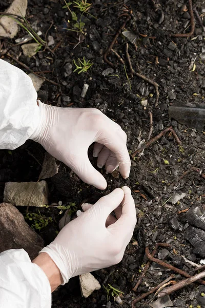 Partial View Ecologist Latex Gloves Touching Ground — Stock Photo, Image