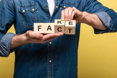 croped view of man holding wooden cubes with fake fact lettering isolated on yellow clipart