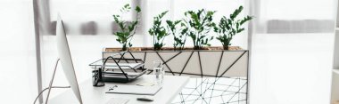 bitki ile masa ve saksı ile ofis panoramik çekim