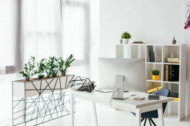kitaplık ve bitkiler ile saksı yakınında bilgisayar ve belge tepsisi ile tablo 