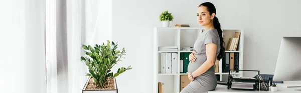 Panoramic Shot Pregnant Woman Standing Office Table Looking Away — Stock Photo, Image