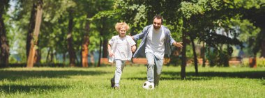 parkta futbol topu ile futbol oynayan baba ve sevimli oğlu panoramik çekim