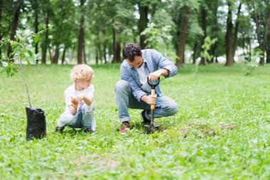 father digging with shovel near son for planting seedling in park clipart