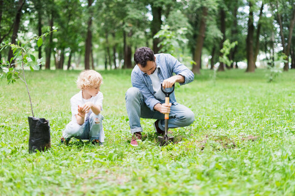 father digging with shovel near son for planting seedling in park