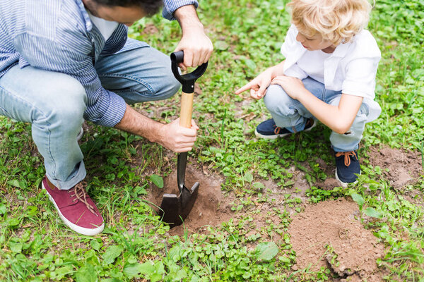 cropped view of father digging ground with shovel near son for planting seedling in park