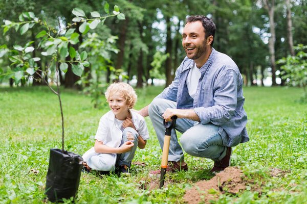 happy father and son with seedling and shovel in park