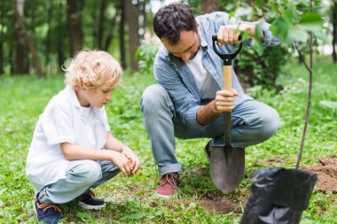 father and son during digging ground with shovel for planting seedling in park clipart