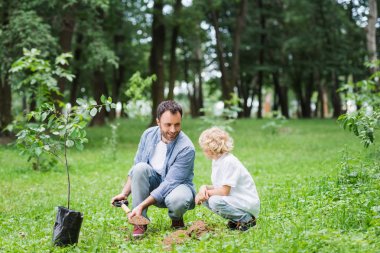 father and cute son during digging ground with shovel for planting seedling in park clipart