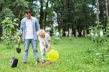 son with watering can and father with showel during planting seedling in park clipart